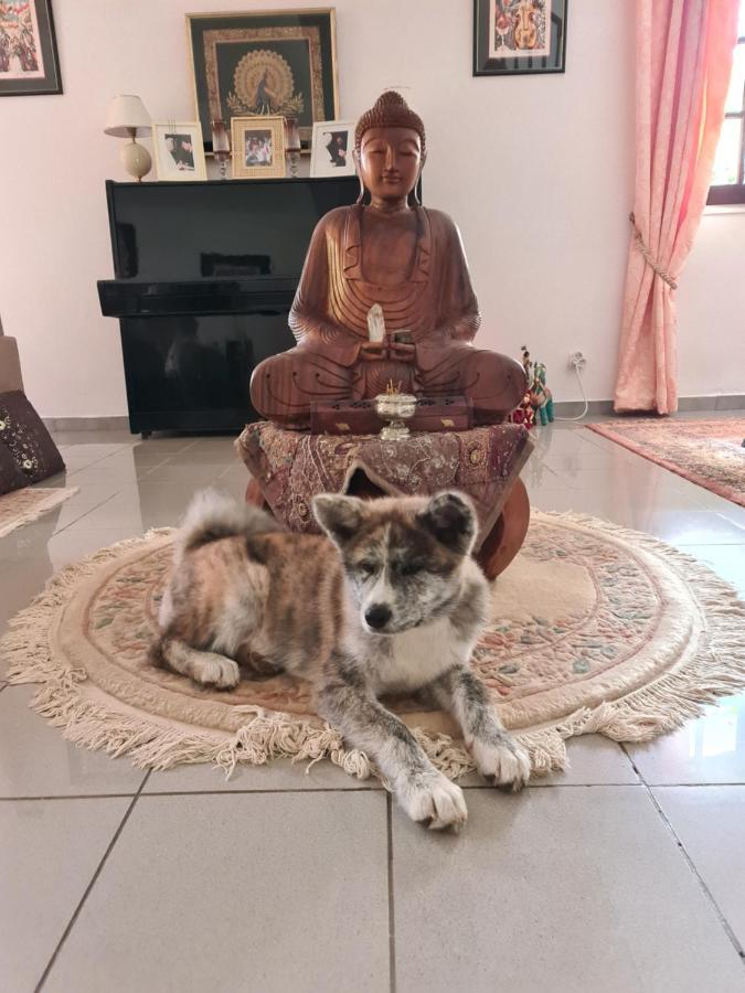 Ti Kaz Indienne 르탕퐁 외부 사진